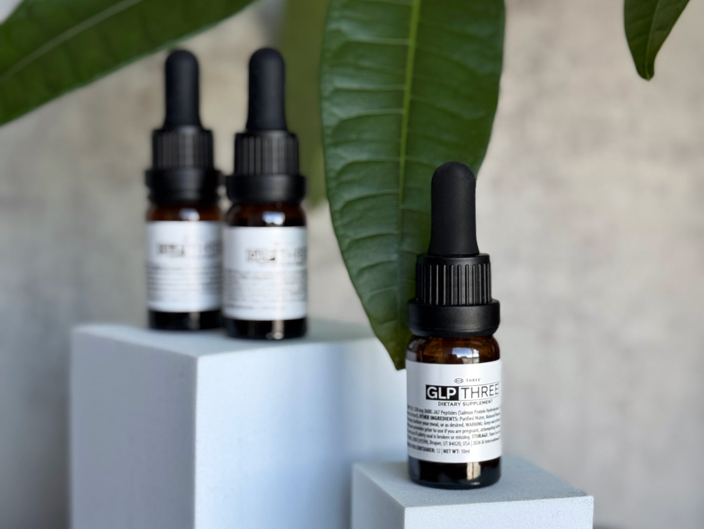 GLP THREE by Three International